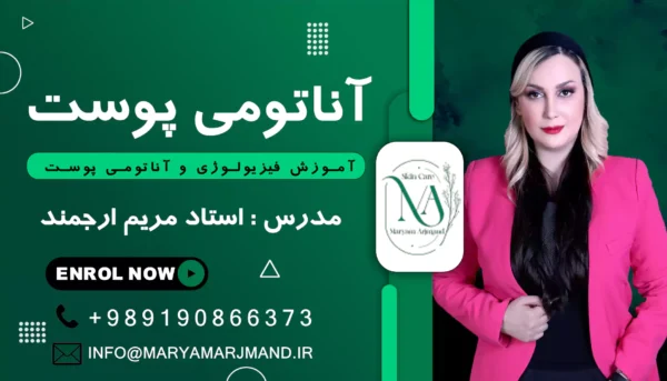 آموزش فیزیولوژی و آناتومی پوست